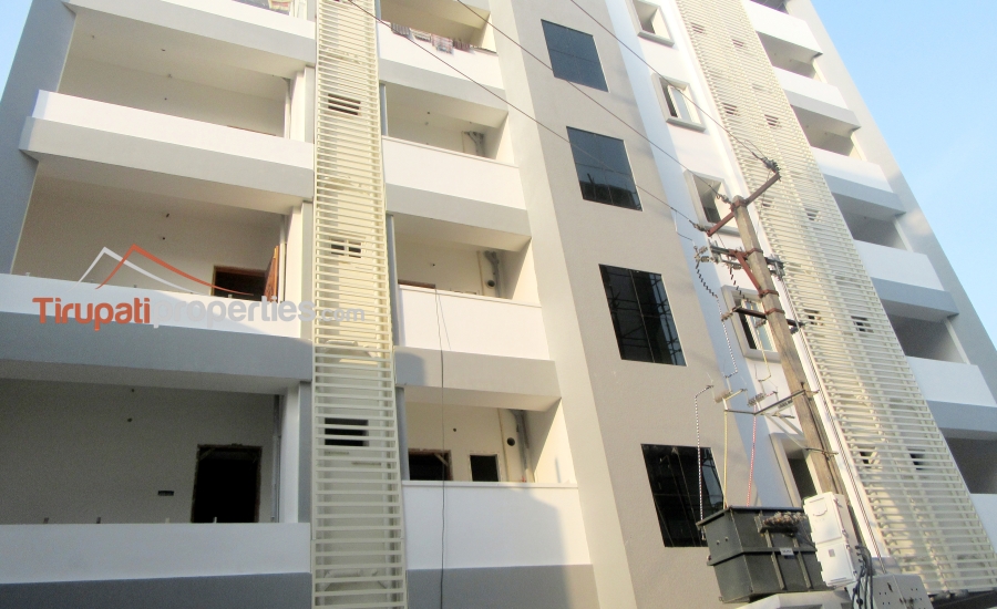 1200 Sft Two Brand New #EastFacing #2BHKFlatsforRent Near Hotel Bliss, #Tirupati